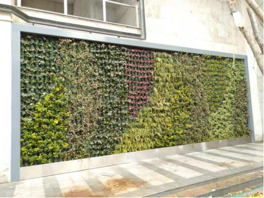 智汇谷植物墙