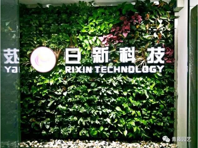 河南日新科技有限公司形象墙