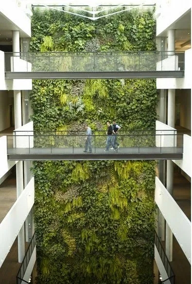 垂直绿化墙需要满足哪些条件？