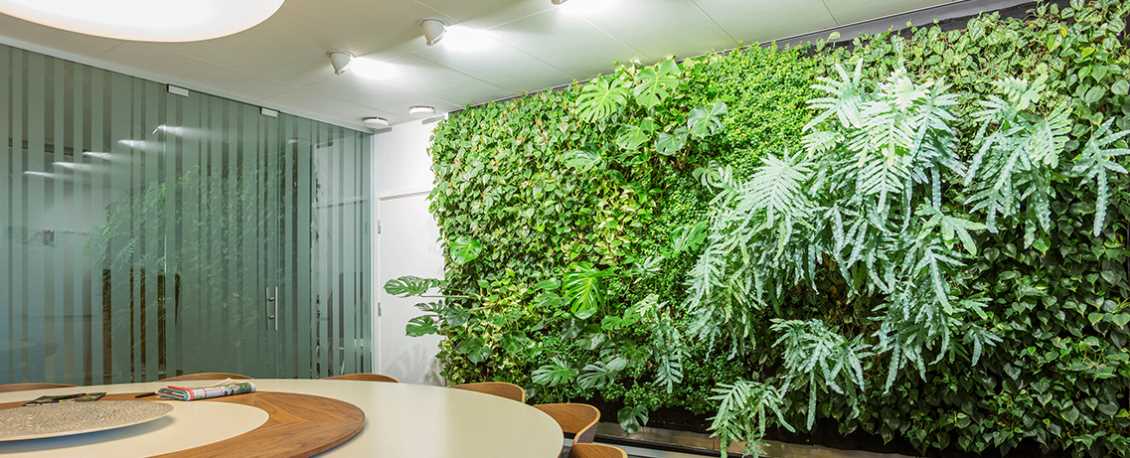 植物墙绿化对我们的重要性