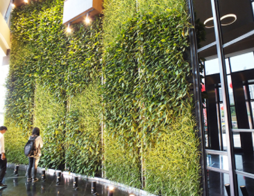 立体绿化植物墙设计施工
